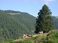 lessinia 17